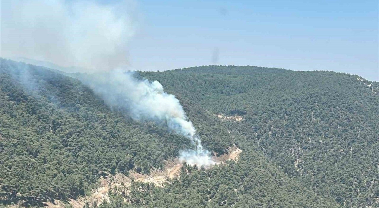 Söğütlü Mevki’inde Orman Yangını – Helikopter Müdahalesi